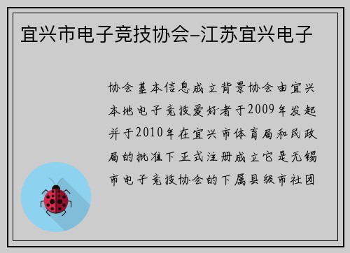 宜兴市电子竞技协会-江苏宜兴电子